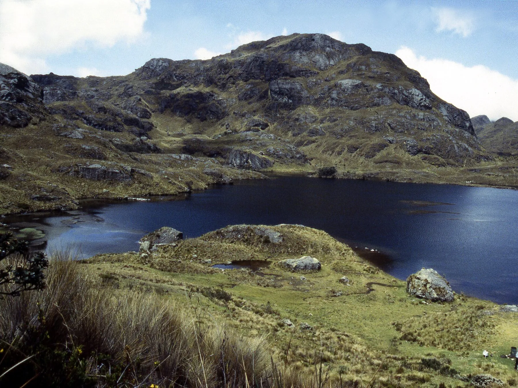 Laguna Toreadora in El Cajas National Park, west of Cuenca