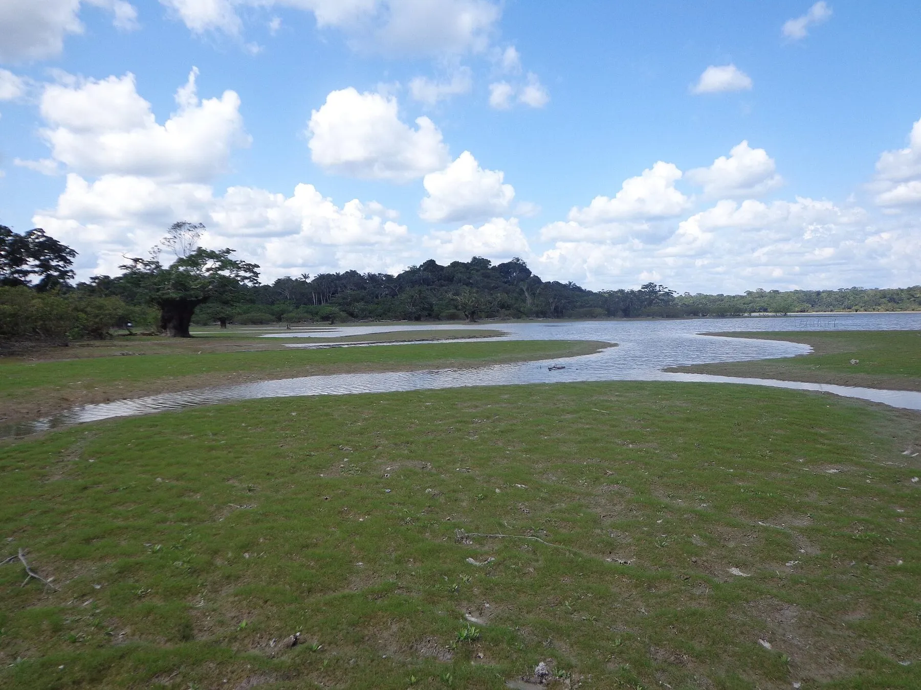 Laguna Grande in the Cuyabeno Wildlife Reserve