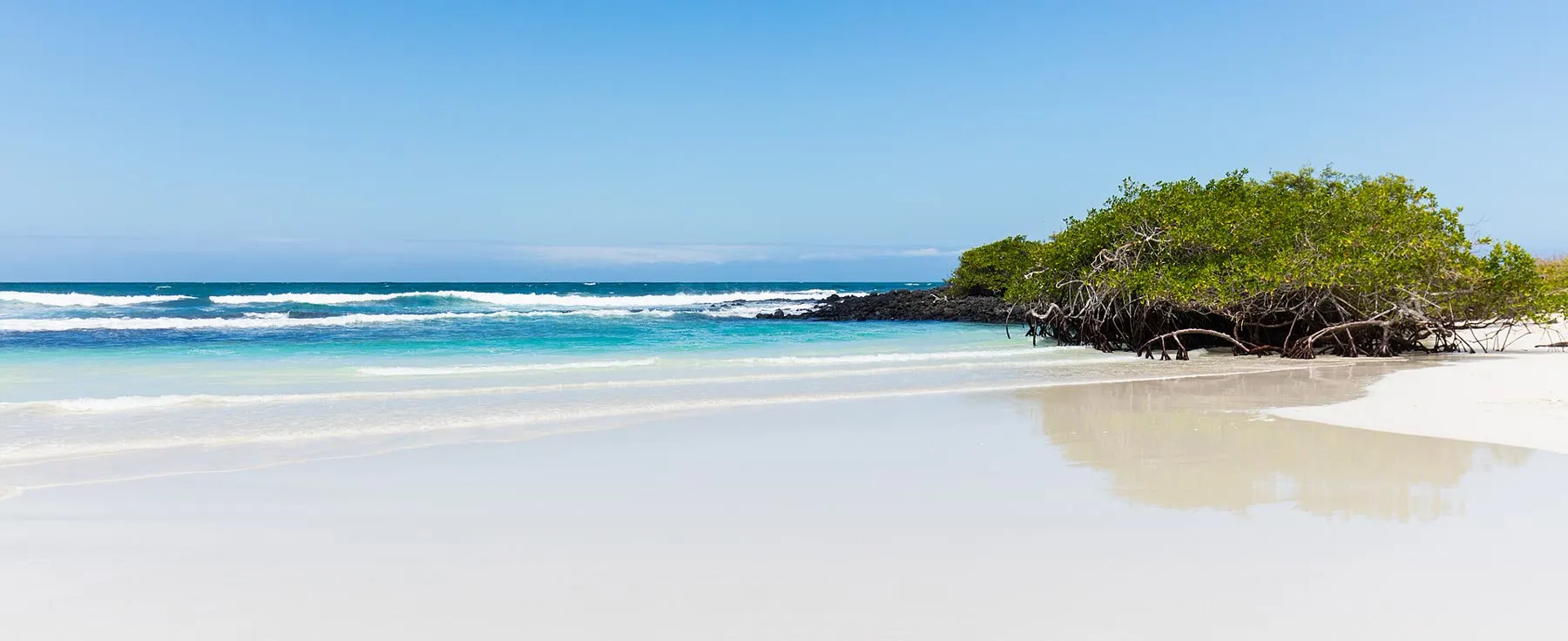 Tortuga Bay on Santa Cruz Island in the Galápagos